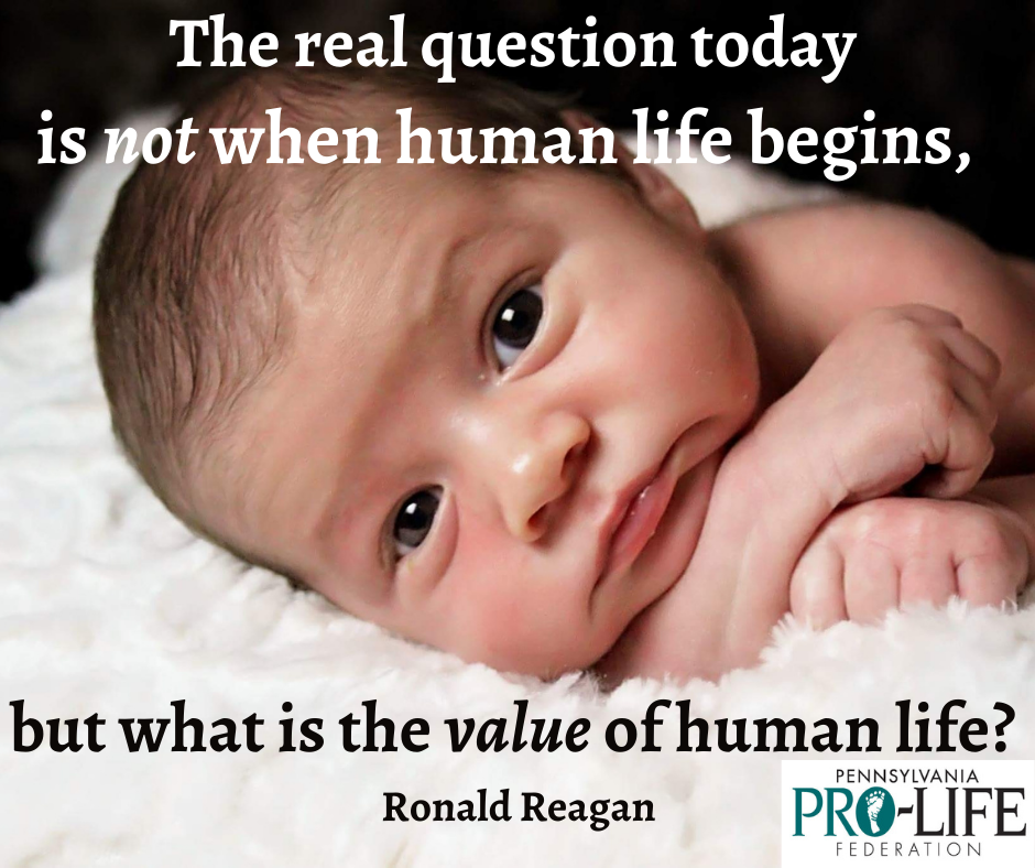 The real question today is not when human life begins.png
