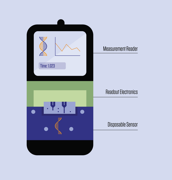 Potential DNA biosensor device