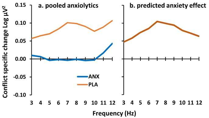 First brain marker for an anxiety disorder discovered