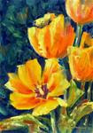 Tulip Drama - Posted on Monday, April 6, 2015 by Tammie Dickerson