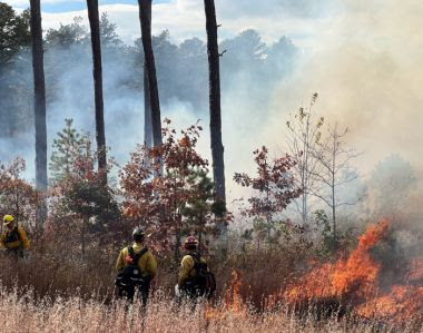 Rangers in the field monitoring prescribed fire