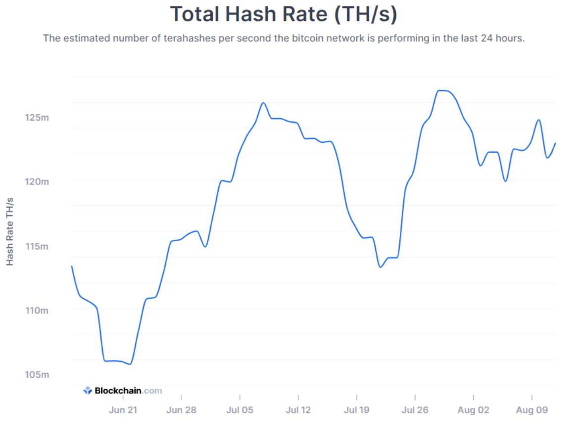 hash rate