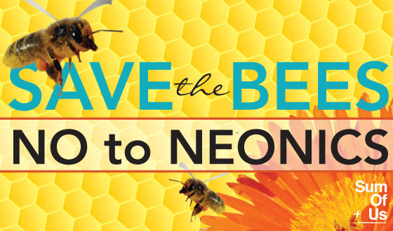 Bees