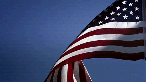 Image result for american flag gif