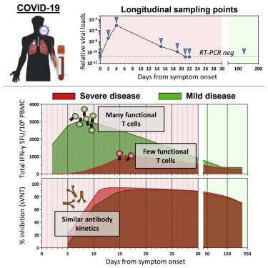 Early functional SARS-CoV-2-specific T cell response may prevent severe infection