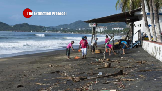 Remnants of Hurricane Patricia head East after soaking Texas Patricia