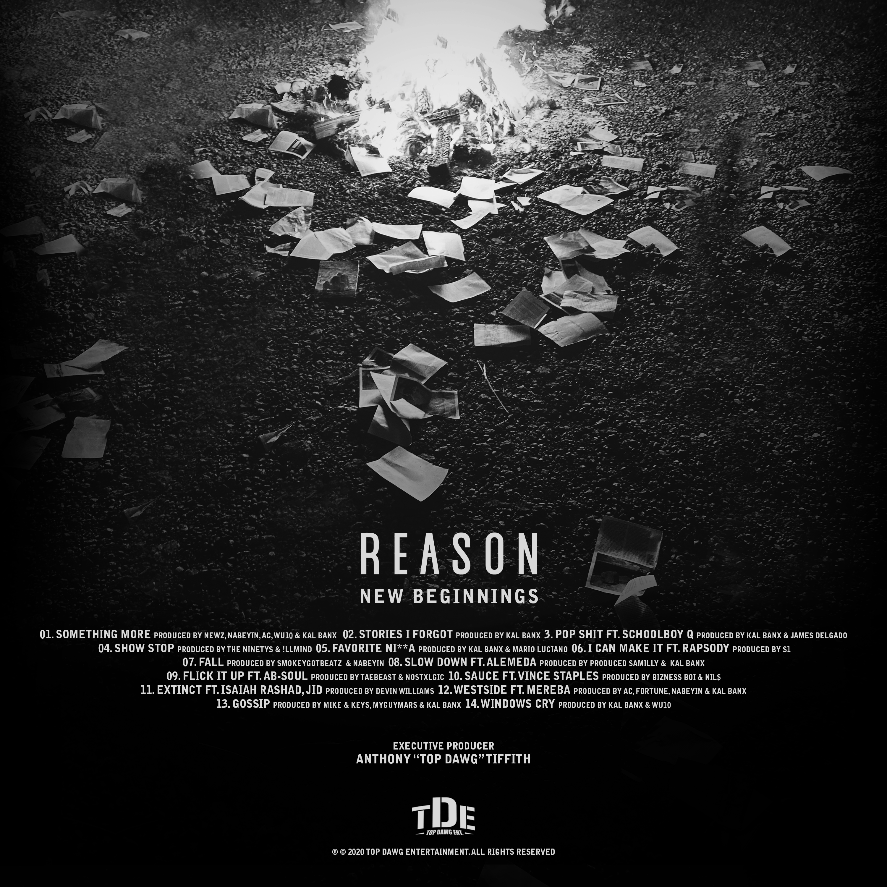 reason-new begining poster