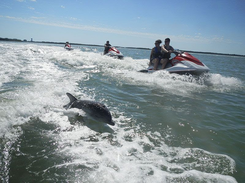 Dolphin jet ski tour Ft. Meyers Beach Dolphin tours, Vacation on