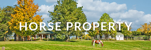Horse property