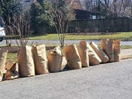 Yard Waste Bags