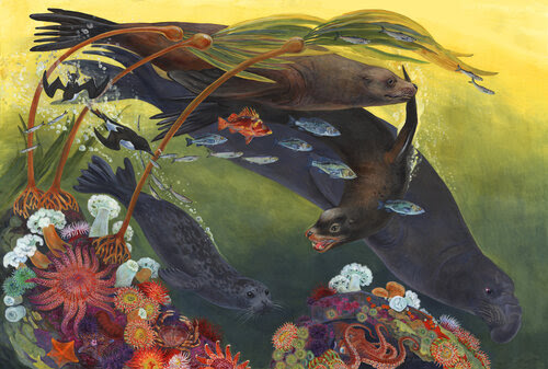 Life of the Kelp Forest.jpg