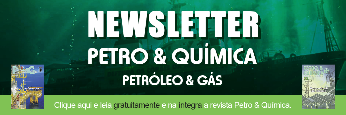 Perspectivas para 2019 | Desinvestimentos na Petrobras | Chamada Pública para contratação no Gasbol