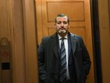 FILE - In this Feb. 5, 2020, file photo Sen. Ted Cruz, R-Texas, stands in an elevator on Capitol Hill in Washington. (AP Photo/Susan Walsh, File)