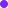 bullet