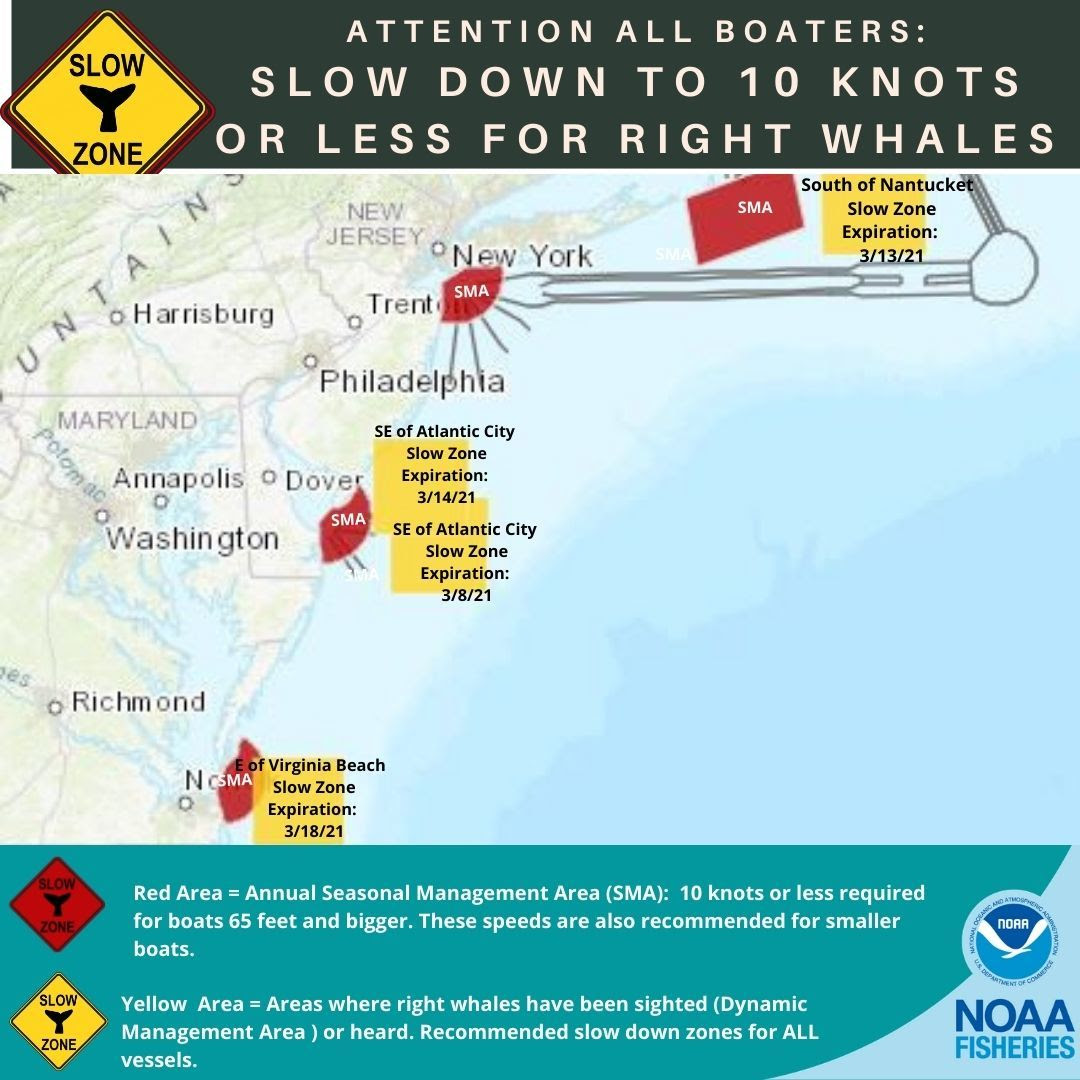 Virginia Beach slow zone