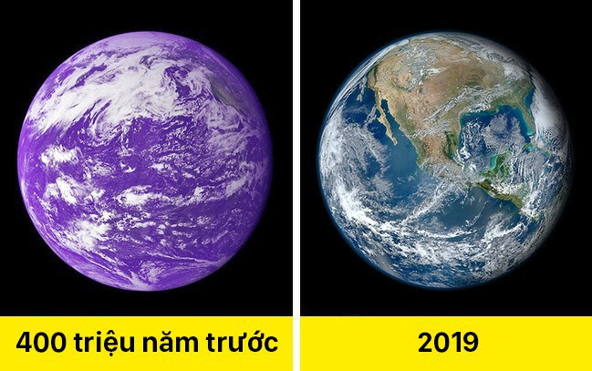 TrÃ¡i Ä áº¥t mÃ u tÃ­m, cÃ¡t biáº¿t hÃ¡t vÃ  11 sá»± tháº­t khÃ¡c láº¡ vá» tháº¿ giá»›i khiáº¿n ai cÅ©ng hÃ¡ há»‘c má»“m - áº¢nh 8.