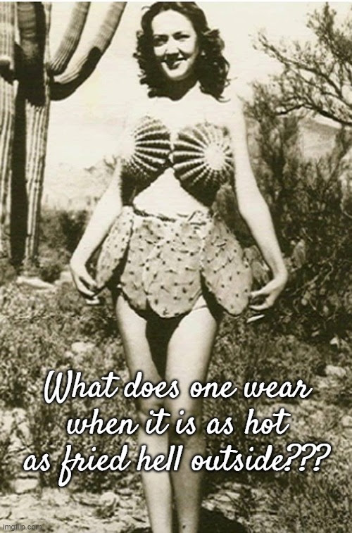 fried hell Memes & GIFs - Imgflip