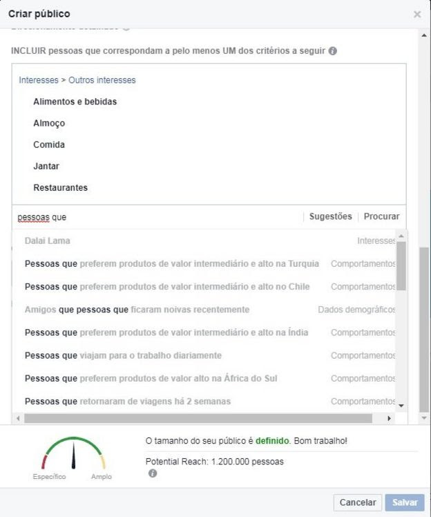 Captura de tela de página de Facebook mostra critérios comportamentais e demográficos de público para promover páginas