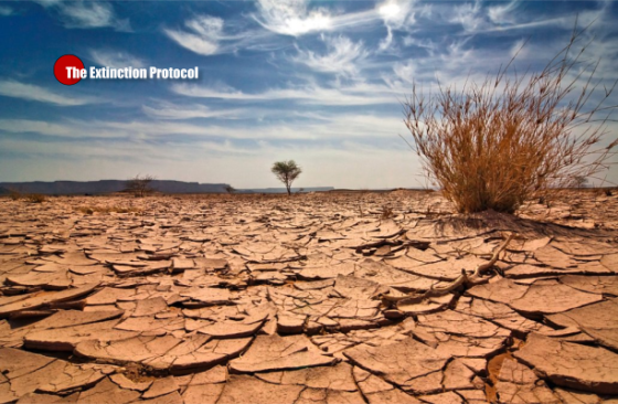 ‘The water table is dropping all over the world’ – NASA warns we’re on the path to global drought Global-drought