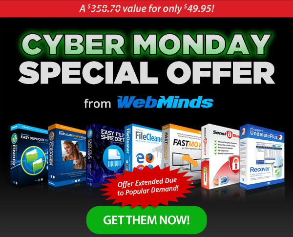 WebMinds Cyber Monday Special Offer