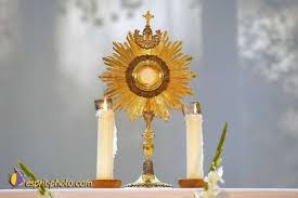 Vierge Pélerine - 30 jours à la Consécration « à Jésus par le Cœur Immaculé de Marie »  17883748391486746701