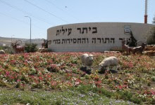 BEITAR ILLIT
