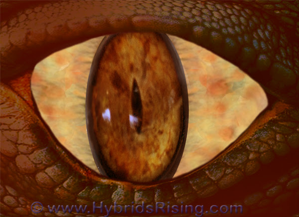 Reptilian-Human Hybrid Woman Displays Independently Moving Eyes, Strange Tongue, and Slitted Pupils In Photographs Reptilian-Human Hybrid Woman Displays Independently Moving Eyes, Strange Tongue, and Slitted Pupils In Photographs