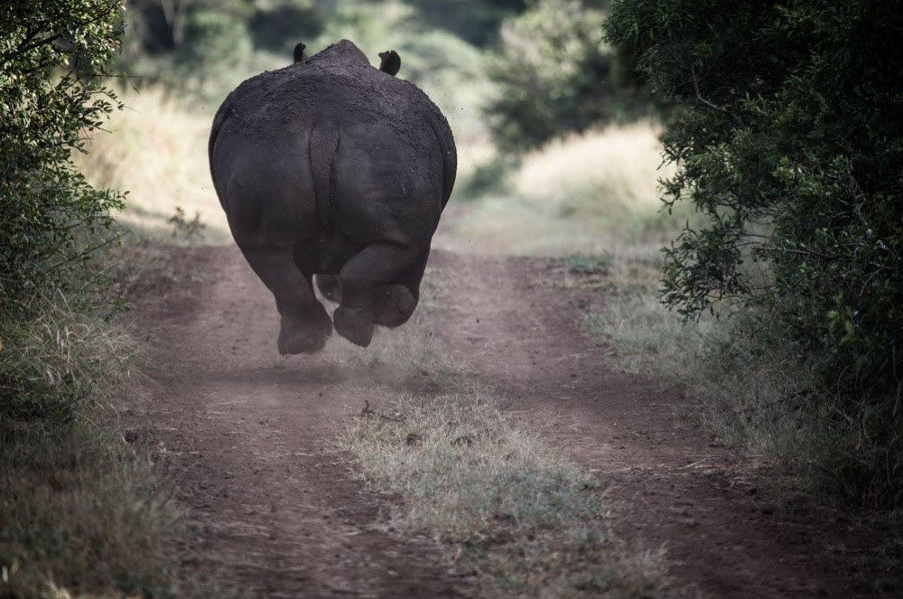 Best pictures of the year f-rom National Geographic