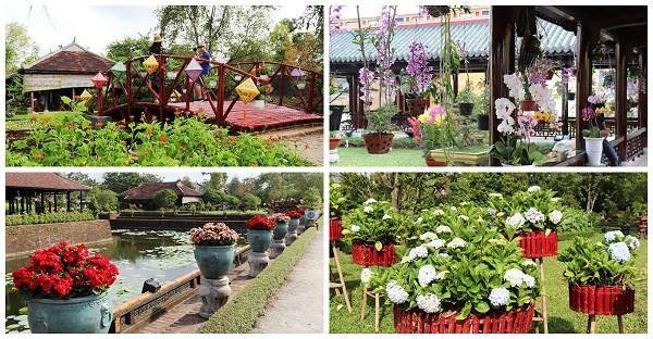 Festival Huế 2018: Ngẩn ngơ với hơn 1.000 tuyệt phẩm ‘kỳ hoa dị thảo’ trong Hoàng cung Huế