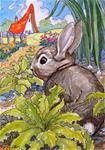 Always Plan for Company Storybook Cottage Series - Posted on Saturday, April 4, 2015 by Alida Akers