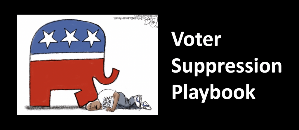 Make it easier for more people to understand voter suppression with an infographic.