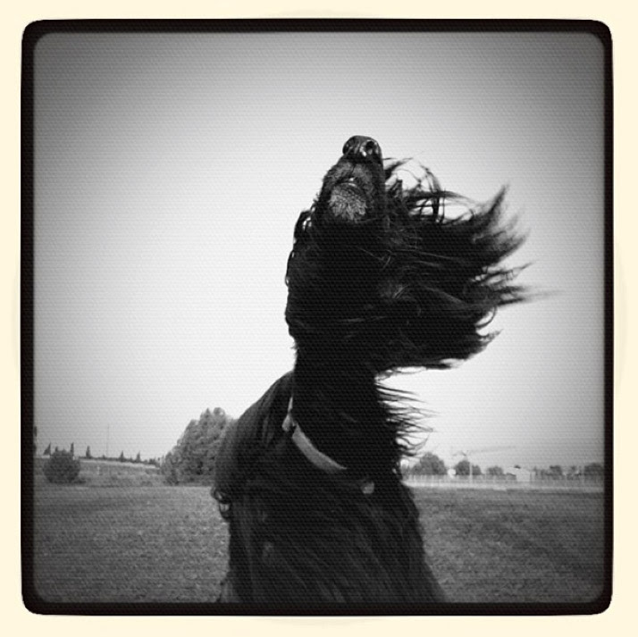 Instagram-3-2a