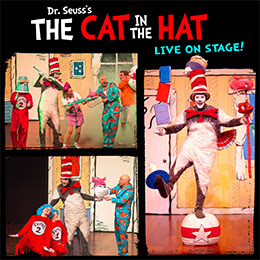 cat in the hat edm