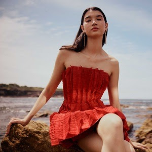 Lunar New Year Shopping Guide