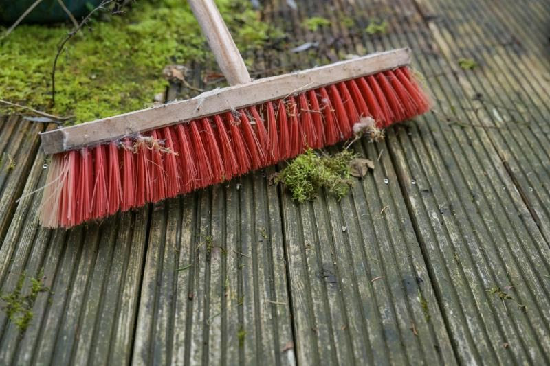 A red brush on a wooden surface Description automatically generated