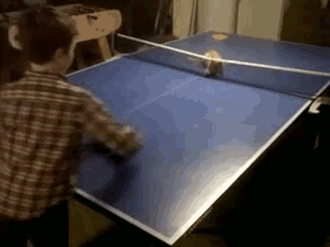 gifs game sport play Cats ping pong - 6815213568