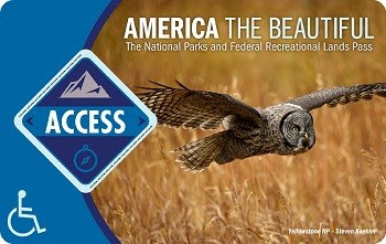 Access Pass Image of the Access Pass