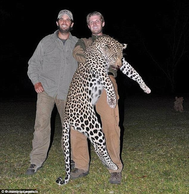 Image result for donald s trump jr image hunting