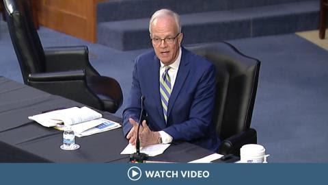 PlayButton_-_new_--_MM---_1.2.jpg Image