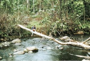 A-Chantal-en-Amazonie.jpg