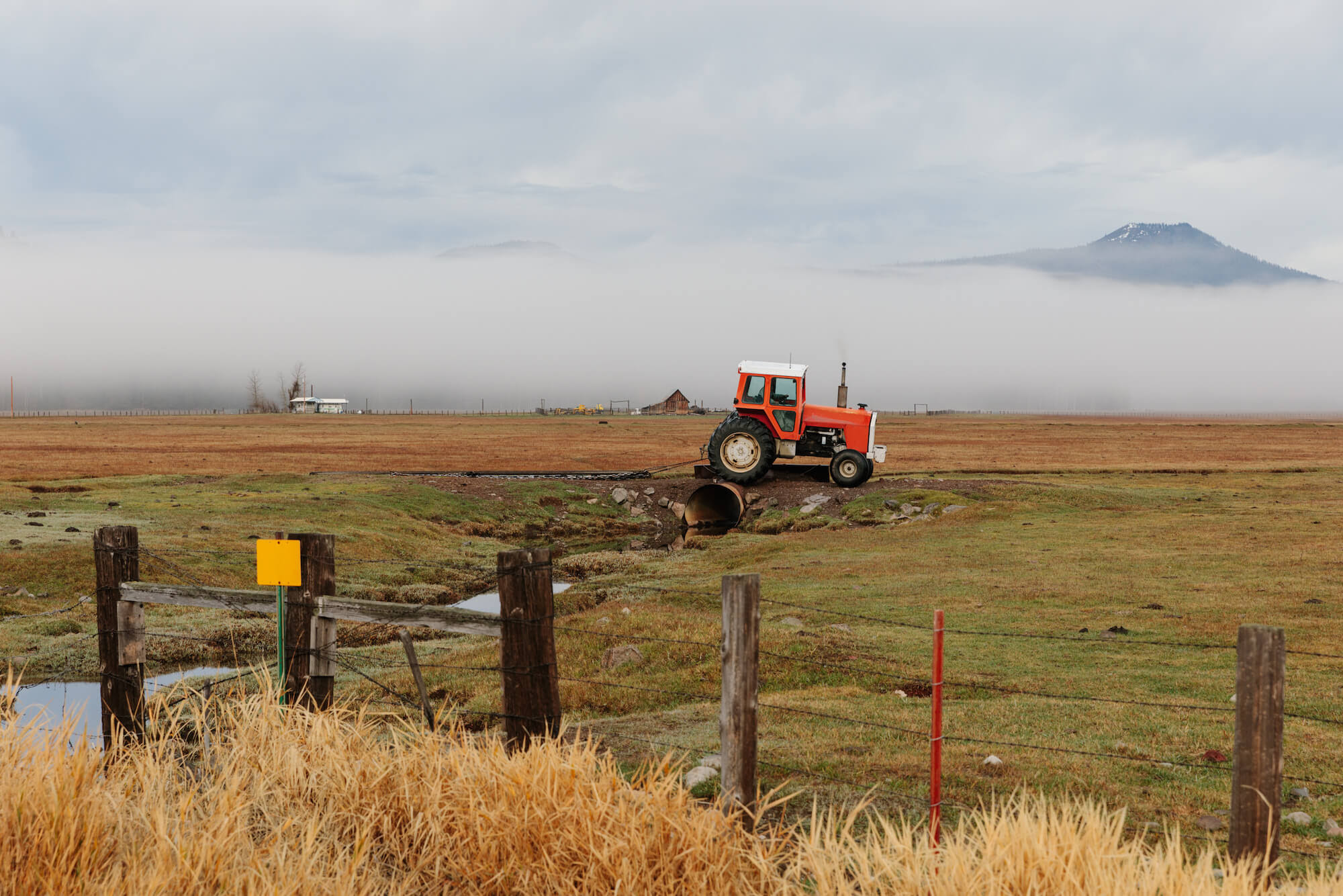 An orange tractor on the horizon of grass with clouds covering the mountains in the distance. Klamath, OR 111921