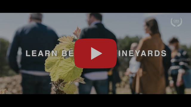 Cava Educator Advanced Level Course
