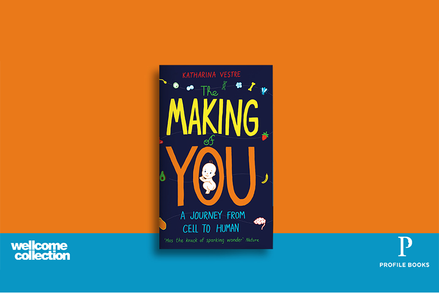 The Making of You book in an orange and blue background.