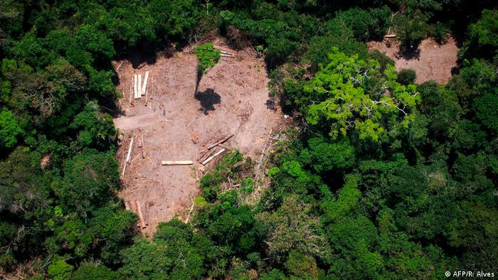 Foto de arquivo tirada em 13 de outubro de 2014 mostrando uma visão aérea de uma área de derrubada ilegal na floresta amazônica 