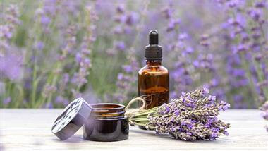 lavender oil vs hair growth pharmaceutical