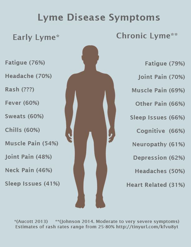Post-Lyme Disease Syndrome, Where Antibiotics End