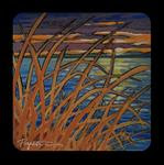 3.07 Seagrass Sunset - Posted on Monday, March 2, 2015 by Jan Poynter