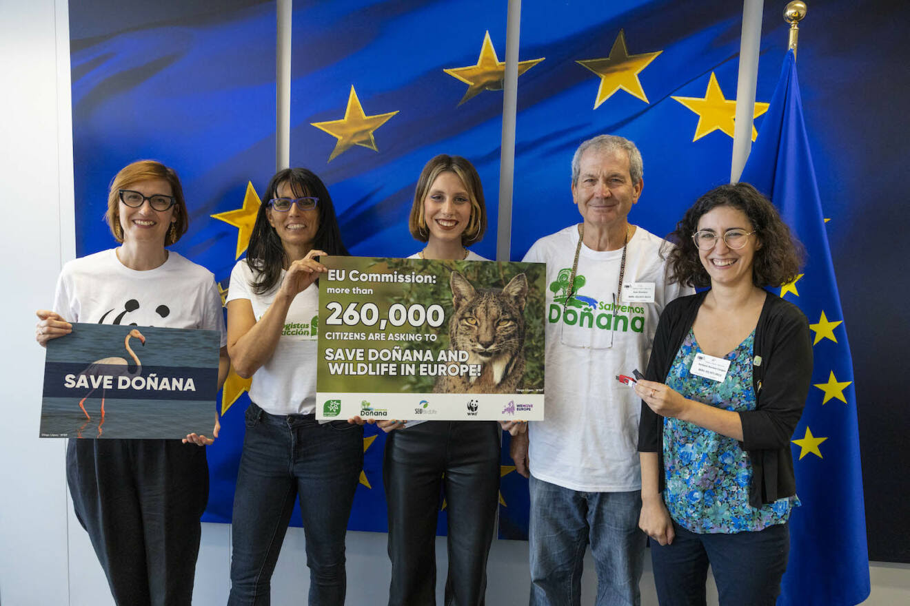 Piden al comisario europeo de Medio Ambiente que mantenga la presión europea para evitar la destrucción de Doñana