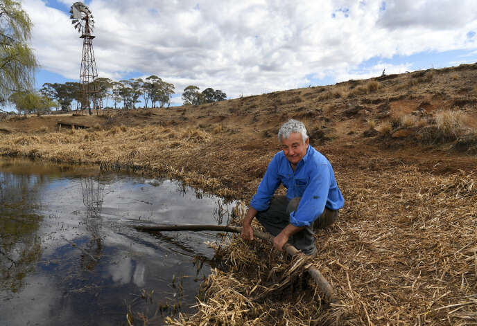 Une ferme de la région de la Nouvelle-Galles du Sud,
              le 27 août 2019. L’Australie faisait alors face à une
              pénurie d’eau sans précédent.