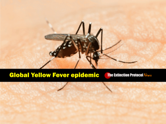 Yellow Fever epidemic: world on the verge of a global health emergency Yellow-fever